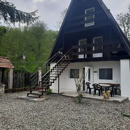 Villa Cabanuta Dan & Alex Cîrţişoara Exterior foto