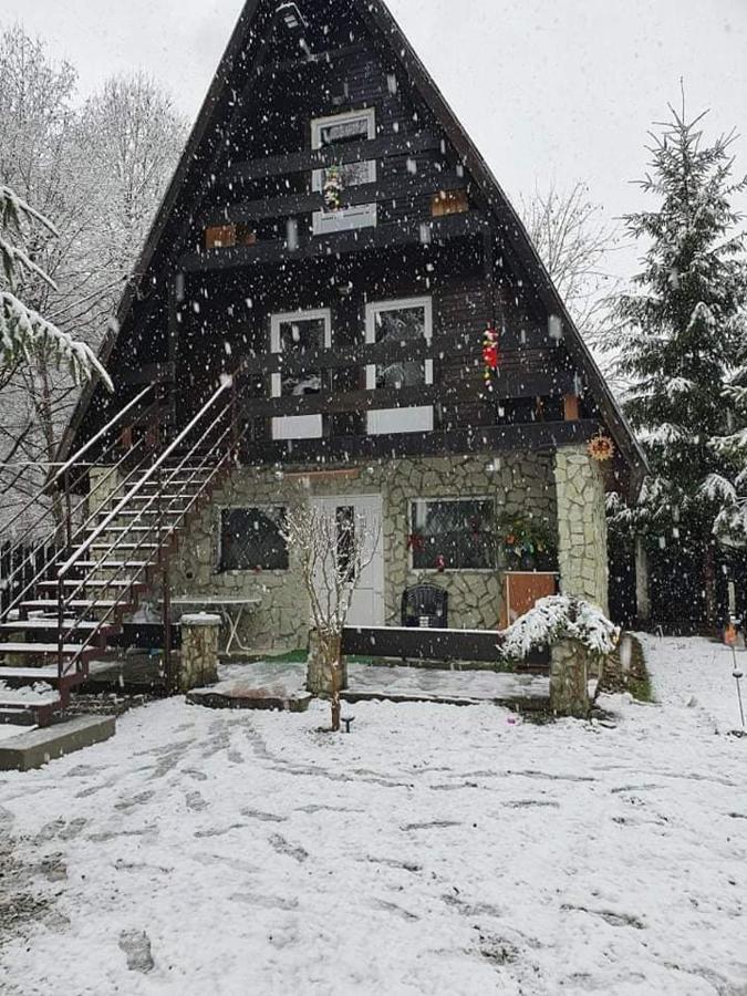 Villa Cabanuta Dan & Alex Cîrţişoara Exterior foto