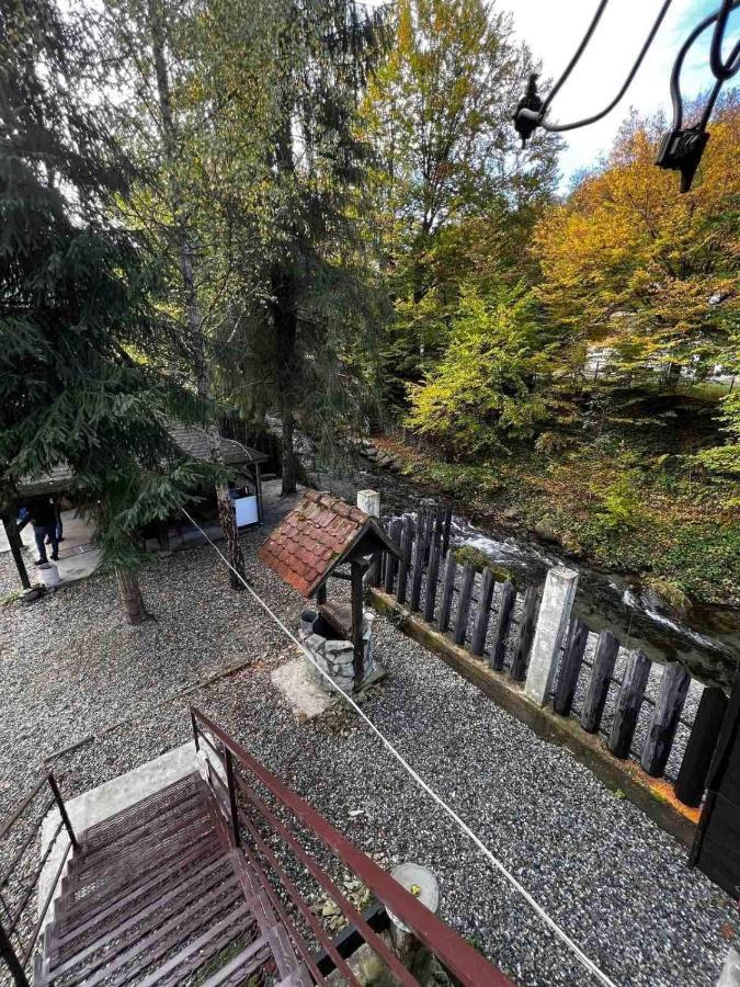 Villa Cabanuta Dan & Alex Cîrţişoara Exterior foto