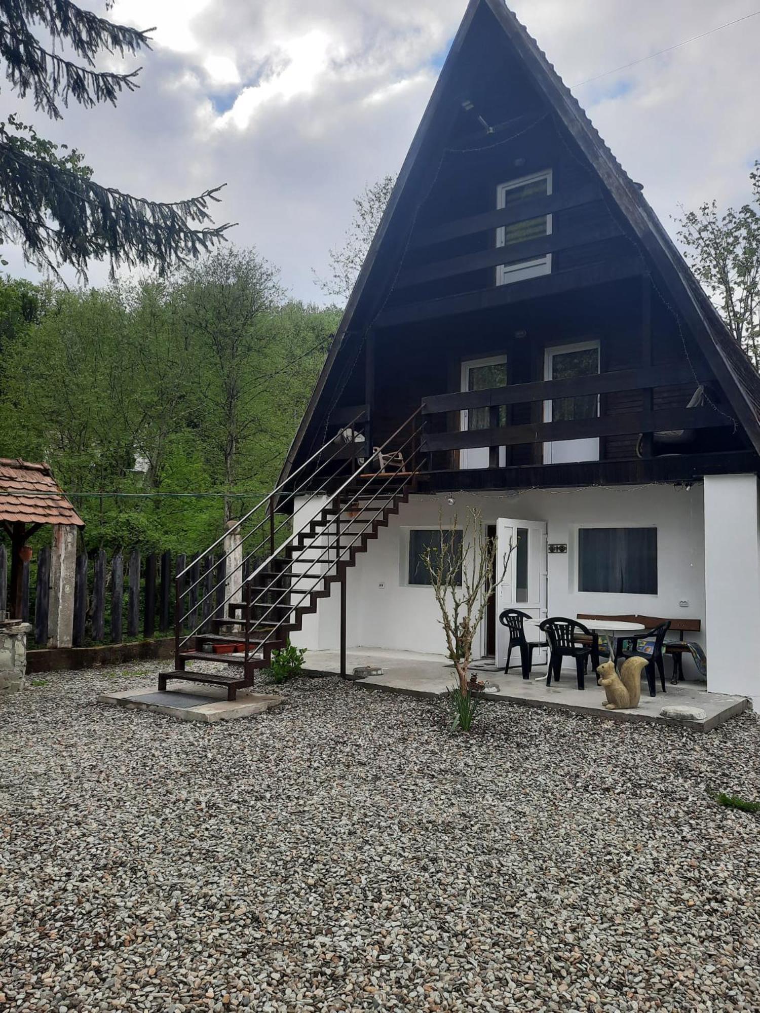 Villa Cabanuta Dan & Alex Cîrţişoara Exterior foto