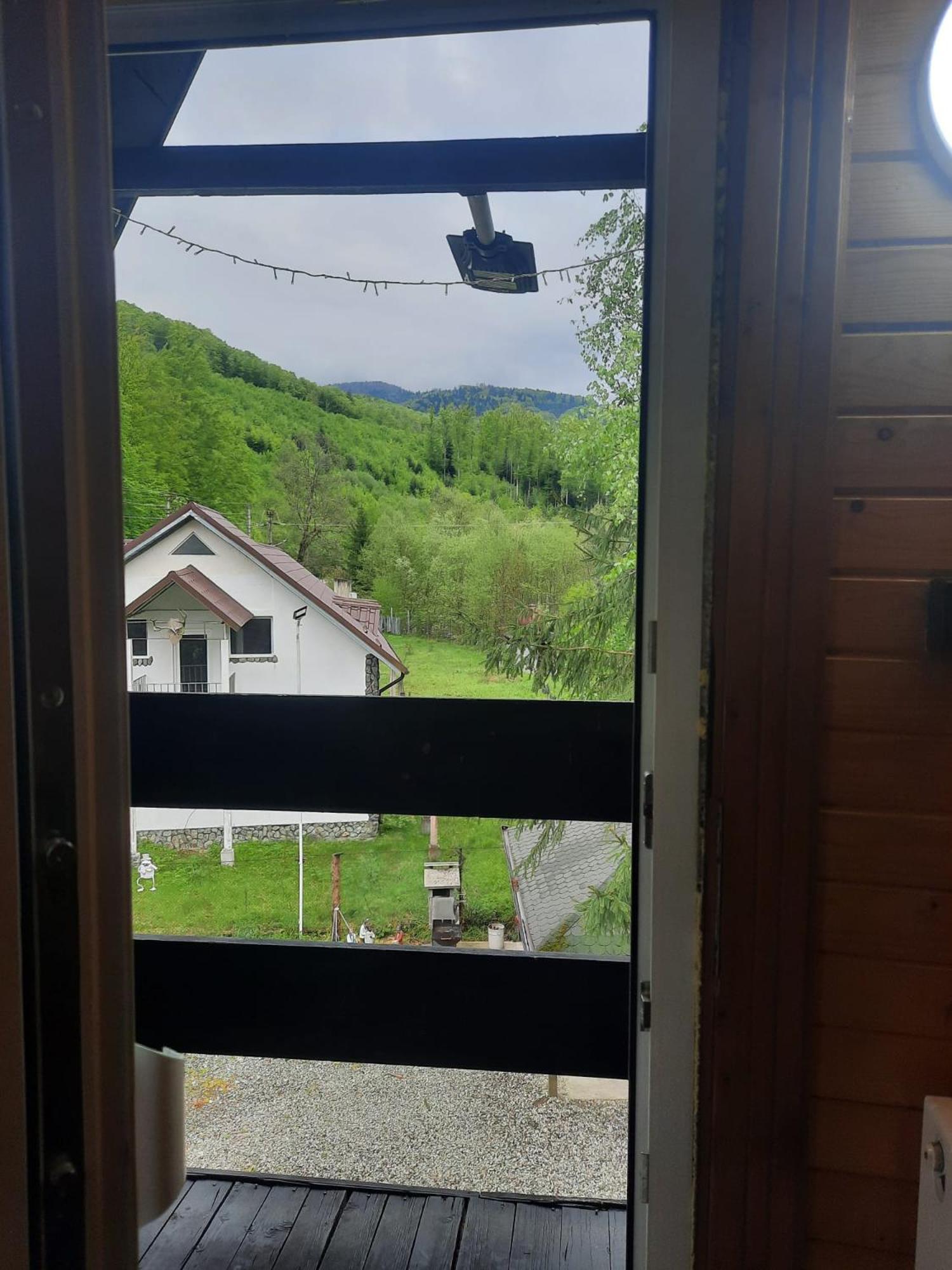 Villa Cabanuta Dan & Alex Cîrţişoara Exterior foto