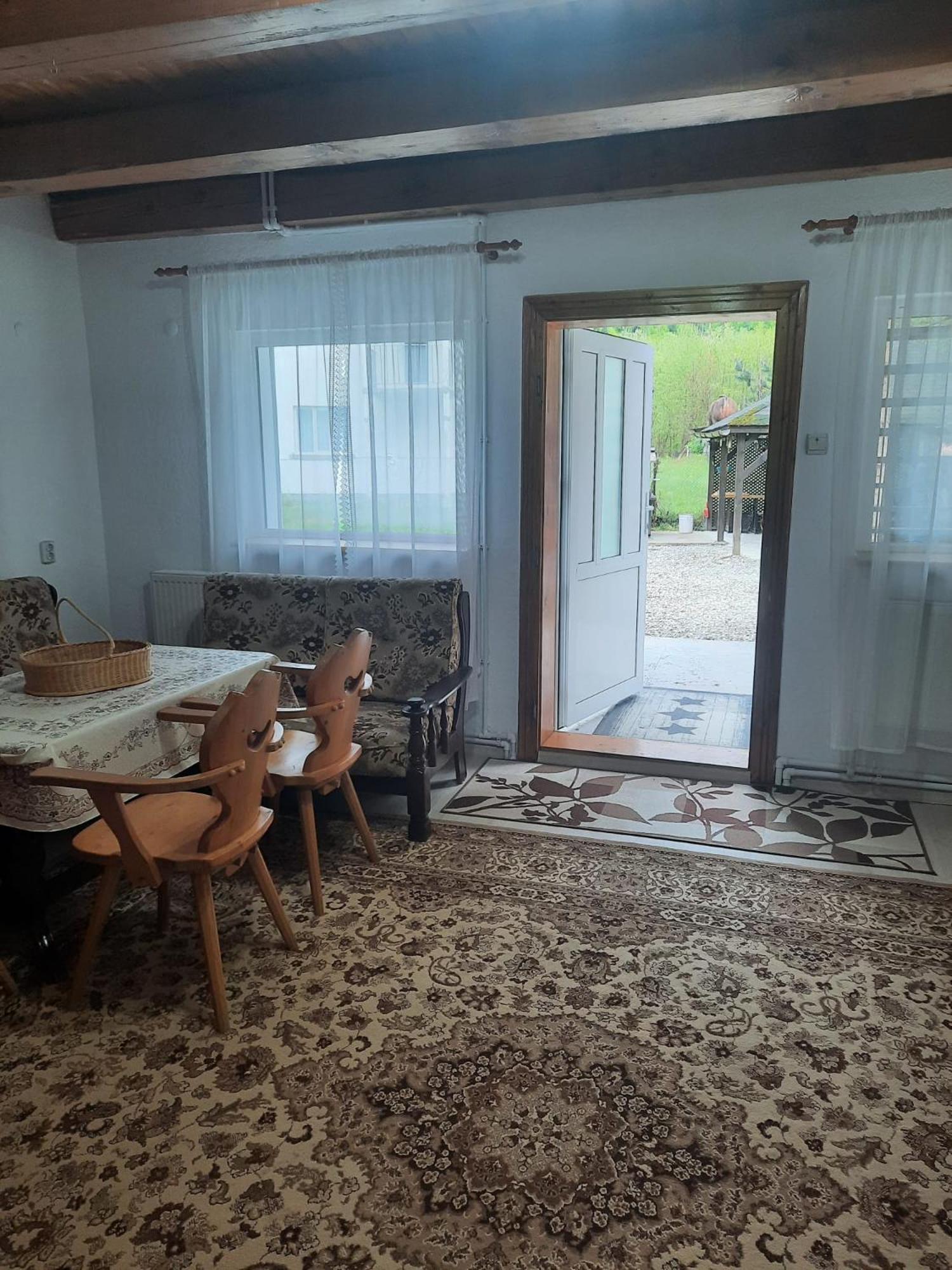 Villa Cabanuta Dan & Alex Cîrţişoara Exterior foto