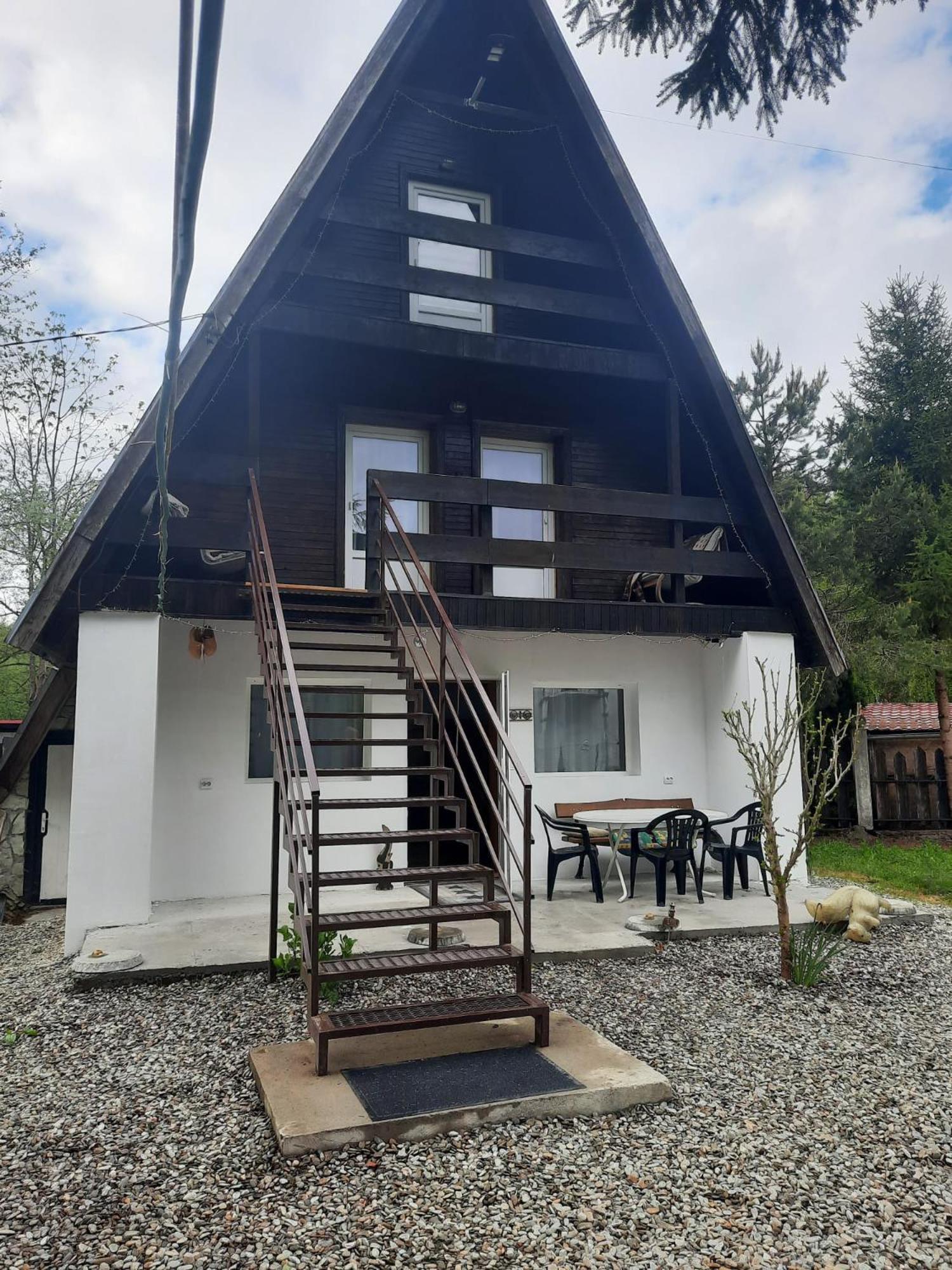 Villa Cabanuta Dan & Alex Cîrţişoara Exterior foto