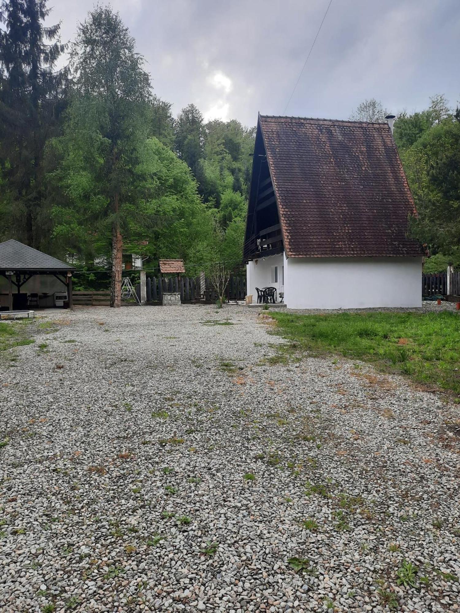 Villa Cabanuta Dan & Alex Cîrţişoara Exterior foto