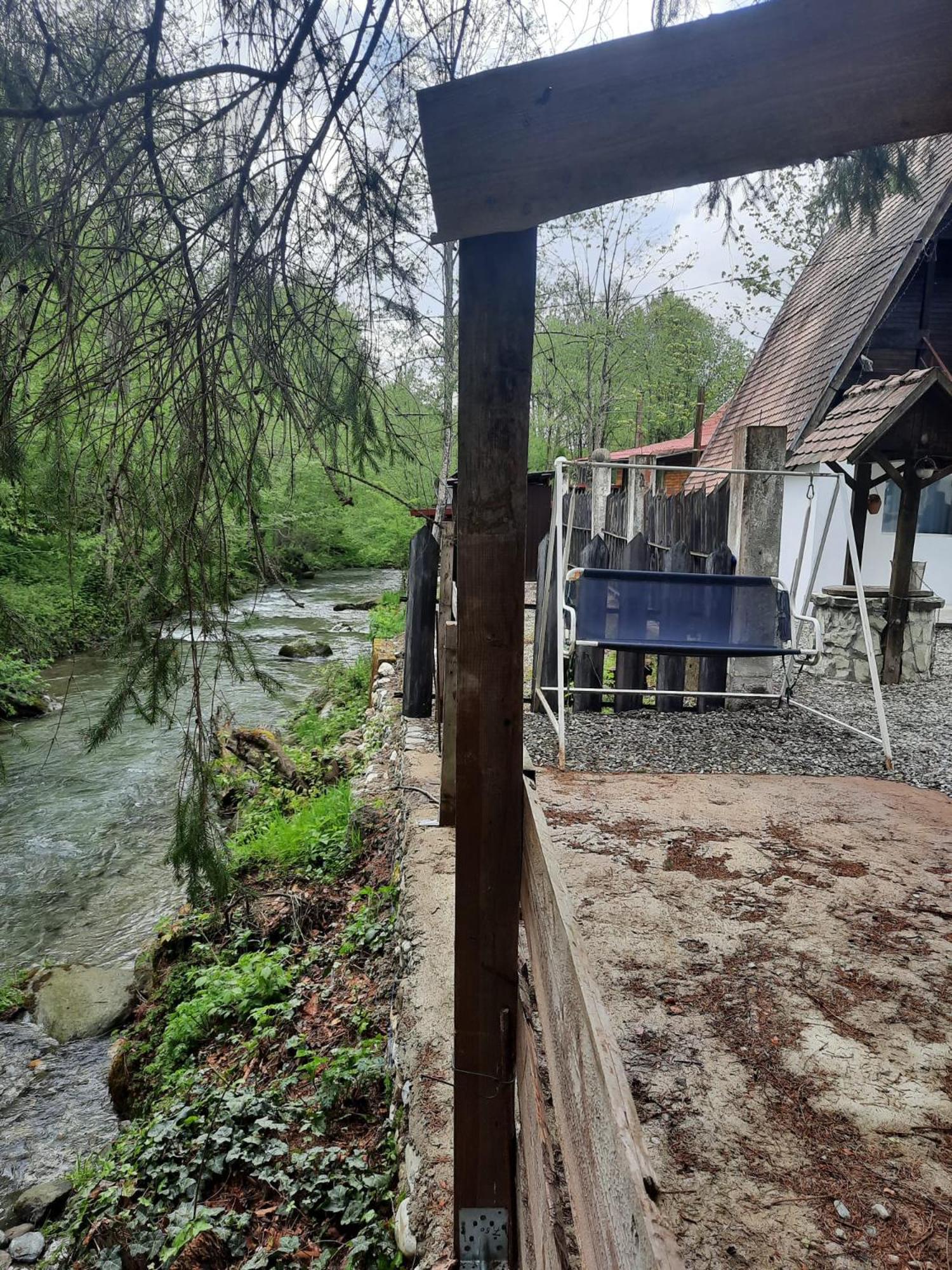 Villa Cabanuta Dan & Alex Cîrţişoara Exterior foto